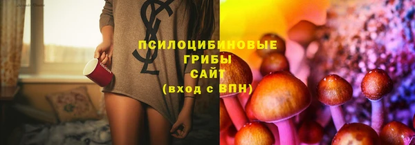 соль курить ск Армянск