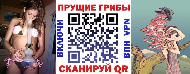 Галлюциногенные грибы ЛСД  Купить  Отрадное 